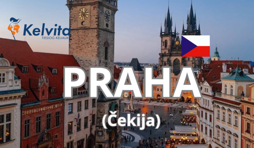 Dėl kelvita wed site ,nauojas šablonas. (50)