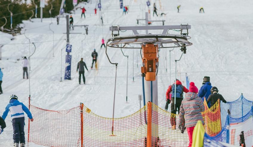 trvl rt bus wb41 WB 41 2d 2