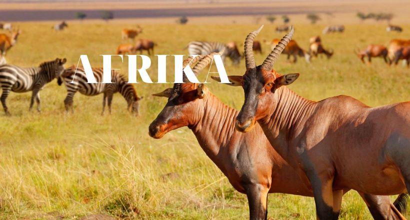 AFRIKA (3)