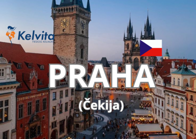Dėl kelvita wed site ,nauojas šablonas. (50)