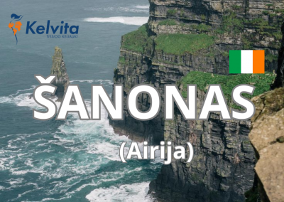 Dėl kelvita wed site ,nauojas šablonas. (84)
