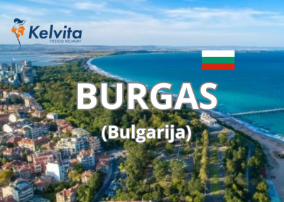 Dėl kelvita wed site ,nauojas šablonas. (87)