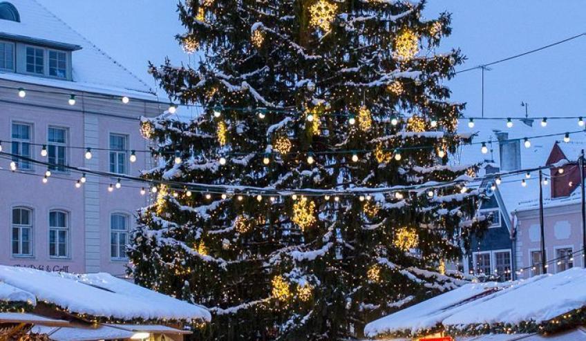 bdde6cefd2503b9cfe8f40936307209b